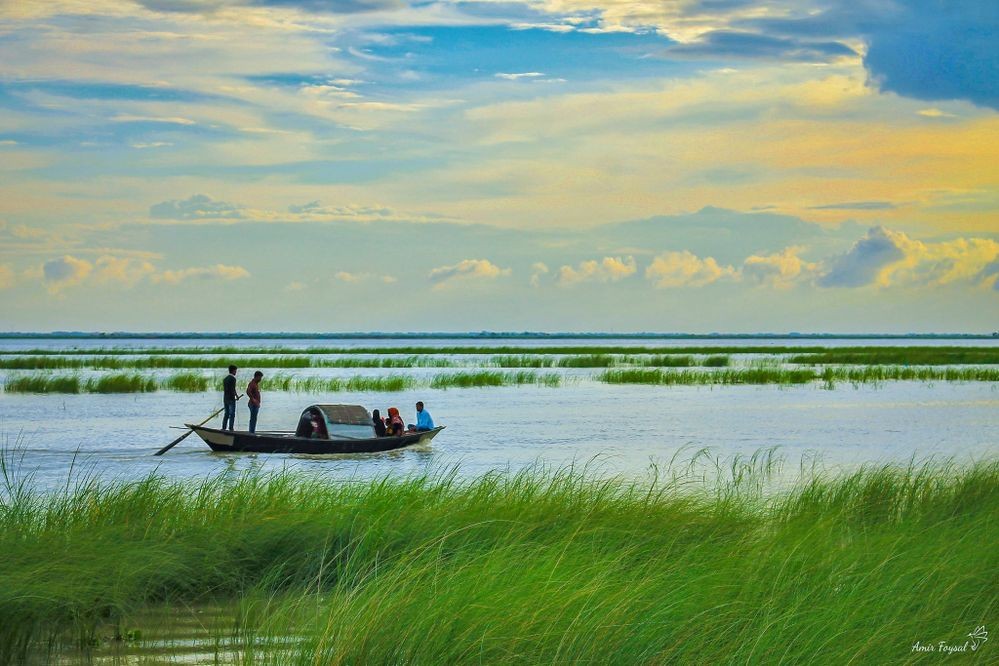 পারিবারিক কৃষি এখন শিক্ষিতদের হাতে