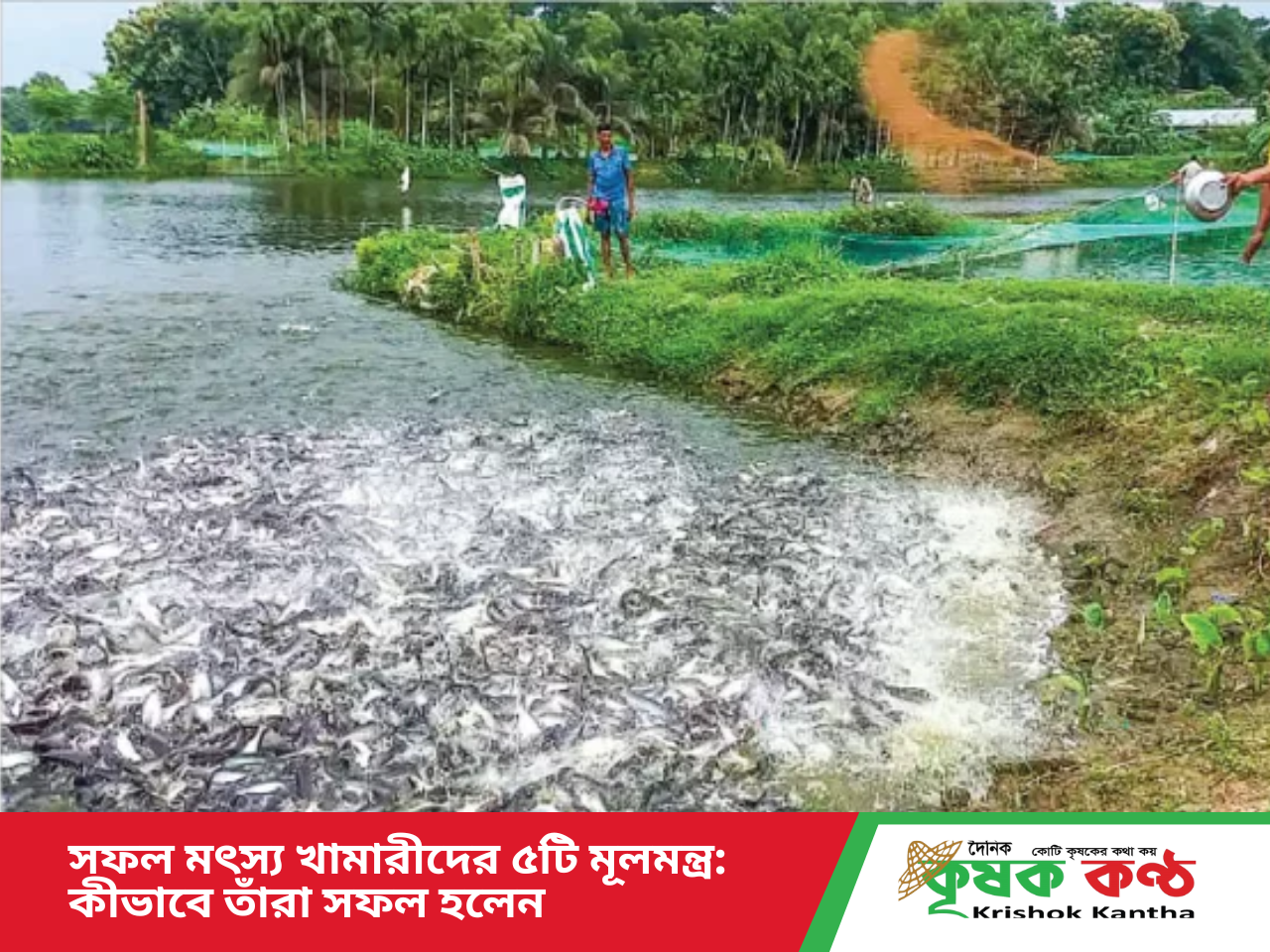 সফল মৎস্য খামারীদের ৫টি মূলমন্ত্র: কীভাবে তাঁরা সফল হলেন