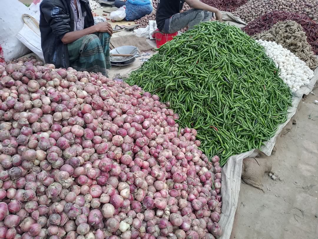 সবজির দরে ধস: স্বস্তিতে ভোক্তারা, হাহাকার কৃষকের
