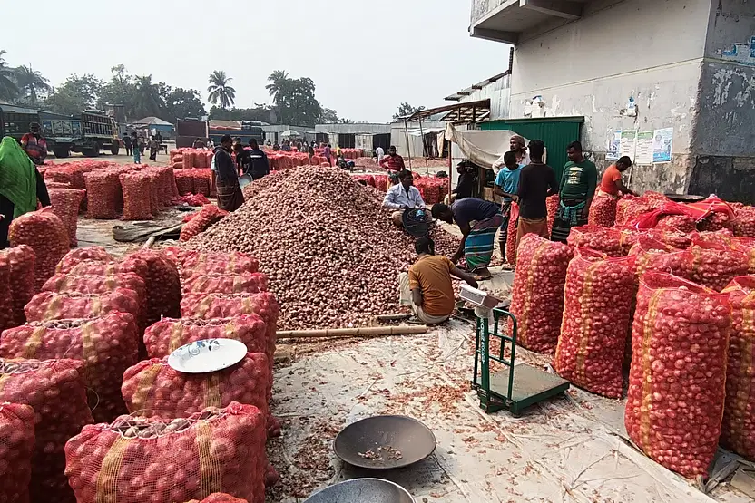পেঁয়াজ চাষে কৃষকের বিপাক: সাঁথিয়ায় আর্থিক সংকটের কাহিনী