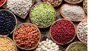 বীজ উৎপাদন ও সংরক্ষণ: কৃষির ভবিষ্যতের নিশ্চয়তা