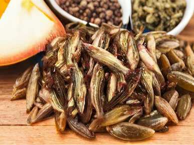 কাপ্তাই হ্রদের মাছ যায় সারা দেশে